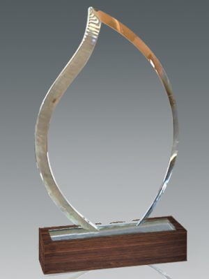 Galvano Cristal con Base de Madera BLAS 55