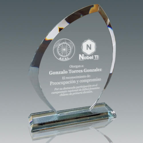 galvano_cristal_premiacion_reconocimiento_hoja_CTA22_grabado Galvano Cristal CTA 22