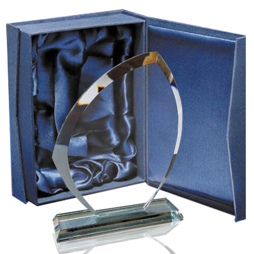 galvano_cristal_premiacion_reconocimiento_hoja_CTA22_portada Galvano Cristal CTA 22